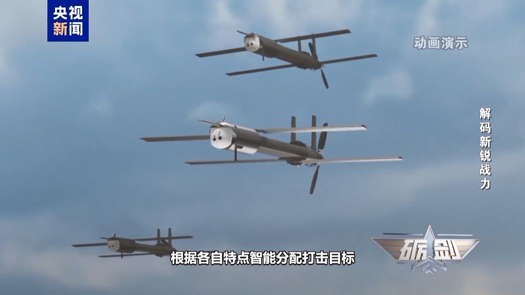 图片来源：视频截图
